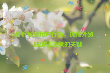AI分析預(yù)測(cè)用戶行為，優(yōu)化外貿(mào)網(wǎng)站運(yùn)營(yíng)決策的關(guān)鍵