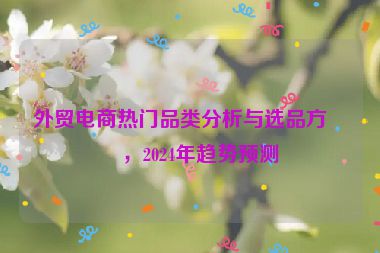 外貿(mào)電商熱門品類分析與選品方向，2024年趨勢預(yù)測