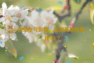 eBay企業(yè)賬號運營，如何高效批量管理SKU？