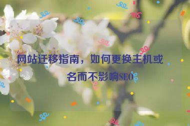 網(wǎng)站遷移指南，如何更換主機(jī)或域名而不影響SEO