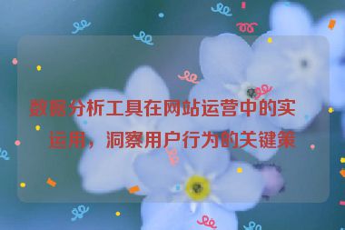 數(shù)據(jù)分析工具在網(wǎng)站運(yùn)營(yíng)中的實(shí)戰(zhàn)運(yùn)用，洞察用戶行為的關(guān)鍵策略
