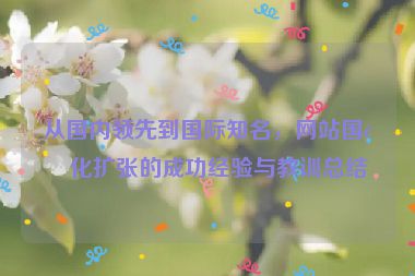 從國內(nèi)領先到國際知名，網(wǎng)站國際化擴張的成功經(jīng)驗與教訓總結
