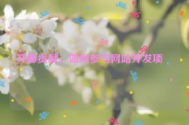 開(kāi)源貢獻(xiàn)，如何參與網(wǎng)站開(kāi)發(fā)項(xiàng)目