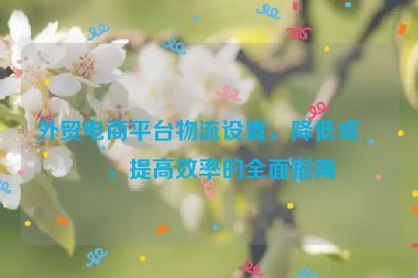 外貿(mào)電商平臺(tái)物流設(shè)置，降低成本，提高效率的全面指南