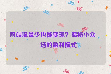 網(wǎng)站流量少也能變現(xiàn)？揭秘小眾市場的盈利模式