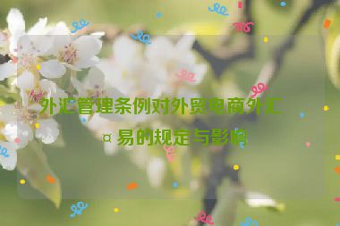 外匯管理?xiàng)l例對外貿(mào)電商外匯交易的規(guī)定與影響