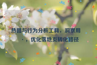 熱圖與行為分析工具，洞察用戶，優(yōu)化落地頁(yè)轉(zhuǎn)化路徑