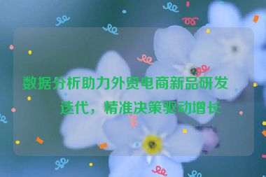 數(shù)據(jù)分析助力外貿(mào)電商新品研發(fā)與迭代，精準(zhǔn)決策驅(qū)動(dòng)增長