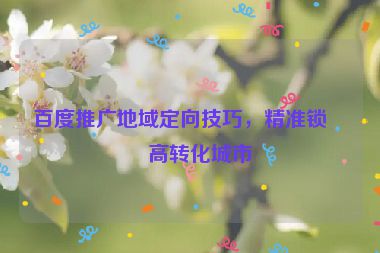 百度推廣地域定向技巧，精準(zhǔn)鎖定高轉(zhuǎn)化城市