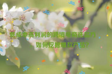 低成本高利潤的跨境電商選品方法，如何挖掘爆款產(chǎn)品？