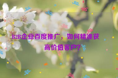 B2B企業(yè)百度推廣，如何精準獲取高價值客戶？