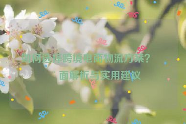 如何選擇跨境電商物流方案？全面解析與實(shí)用建議