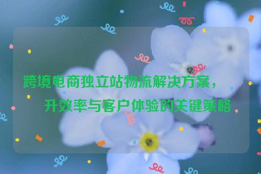 跨境電商獨立站物流解決方案，提升效率與客戶體驗的關鍵策略