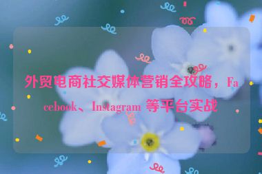 外貿(mào)電商社交媒體營(yíng)銷(xiāo)全攻略，F(xiàn)acebook、Instagram 等平臺(tái)實(shí)戰(zhàn)