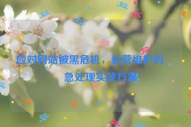 應(yīng)對(duì)網(wǎng)站被黑危機(jī)，運(yùn)營維護(hù)的應(yīng)急處理實(shí)戰(zhàn)方案