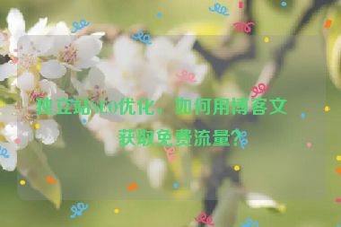 獨(dú)立站SEO優(yōu)化，如何用博客文章獲取免費(fèi)流量？