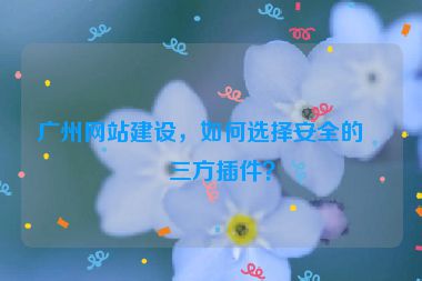 廣州網(wǎng)站建設(shè)，如何選擇安全的第三方插件？