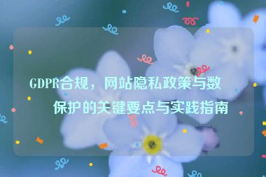 GDPR合規(guī)，網(wǎng)站隱私政策與數(shù)據(jù)保護的關(guān)鍵要點與實踐指南