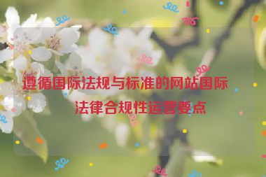 遵循國(guó)際法規(guī)與標(biāo)準(zhǔn)的網(wǎng)站國(guó)際化法律合規(guī)性運(yùn)營(yíng)要點(diǎn)