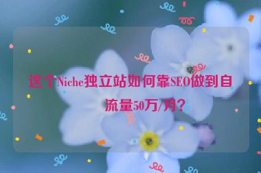 這個Niche獨立站如何靠SEO做到自然流量50萬/月？