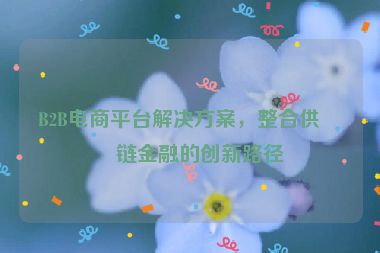 B2B電商平臺解決方案，整合供應(yīng)鏈金融的創(chuàng)新路徑