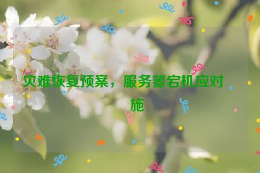 災(zāi)難恢復(fù)預(yù)案，服務(wù)器宕機應(yīng)對措施