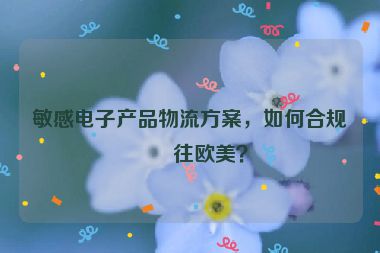 敏感電子產(chǎn)品物流方案，如何合規(guī)發(fā)往歐美？