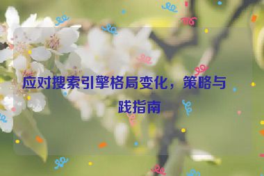 應(yīng)對(duì)搜索引擎格局變化，策略與實(shí)踐指南