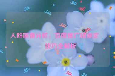 人群畫像分析，百度推廣精準(zhǔn)定向技巧全解析