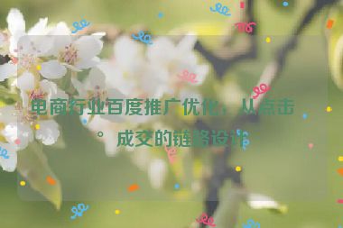 電商行業(yè)百度推廣優(yōu)化，從點擊到成交的鏈路設計