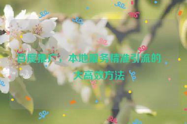 百度推廣，本地服務(wù)精準引流的五大高效方法