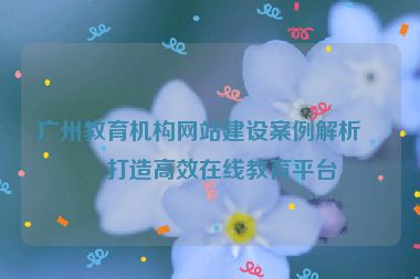 廣州教育機(jī)構(gòu)網(wǎng)站建設(shè)案例解析，打造高效在線教育平臺(tái)
