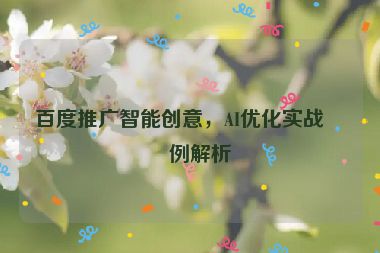 百度推廣智能創(chuàng)意，AI優(yōu)化實戰(zhàn)案例解析