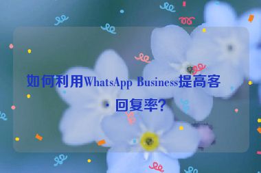 如何利用WhatsApp Business提高客戶回復(fù)率？