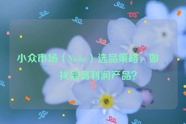 小眾市場（Niche）選品策略，如何找到高利潤產(chǎn)品？