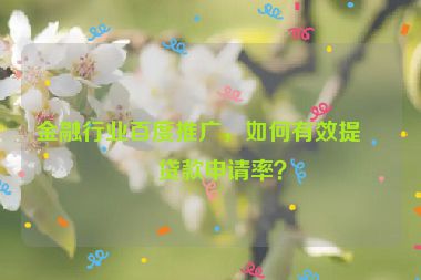 金融行業(yè)百度推廣，如何有效提升貸款申請率？