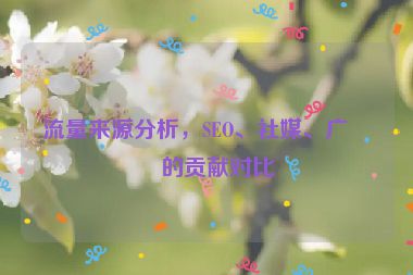 流量來(lái)源分析，SEO、社媒、廣告的貢獻(xiàn)對(duì)比