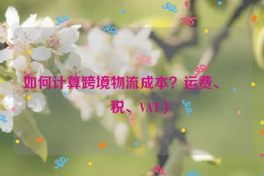如何計算跨境物流成本？運費、關(guān)稅、VAT）