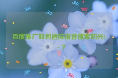 百度推廣如何適應語音搜索的興起？