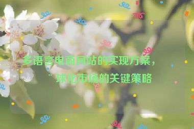 多語言電商網(wǎng)站的實(shí)現(xiàn)方案，全球化市場(chǎng)的關(guān)鍵策略