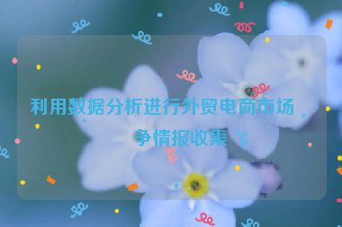 利用數(shù)據(jù)分析進(jìn)行外貿(mào)電商市場競爭情報(bào)收集