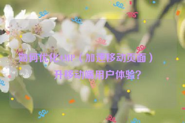 如何優(yōu)化AMP（加速移動(dòng)頁(yè)面）提升移動(dòng)端用戶體驗(yàn)？