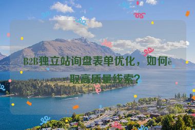 B2B獨立站詢盤表單優(yōu)化，如何獲取高質(zhì)量線索？