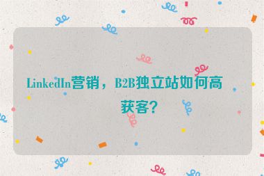 LinkedIn營銷，B2B獨立站如何高效獲客？