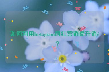 如何利用Instagram網(wǎng)紅營銷提升銷量？