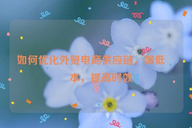 如何優(yōu)化外貿(mào)電商供應(yīng)鏈，降低成本，提高時(shí)效
