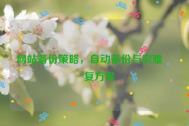 網(wǎng)站備份策略，自動備份與災(zāi)難恢復(fù)方案