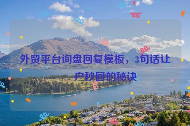 外貿(mào)平臺詢盤回復(fù)模板，3句話讓客戶秒回的秘訣