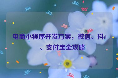 電商小程序開(kāi)發(fā)方案，微信、抖音、支付寶全攻略