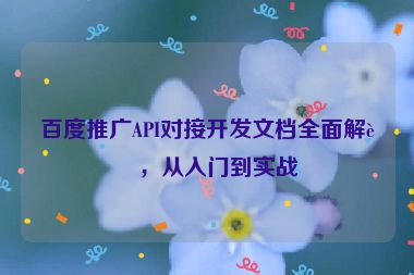 百度推廣API對接開發(fā)文檔全面解讀，從入門到實戰(zhàn)